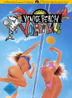 Venice Beach Volleyball (USA) (Unl) box cover front